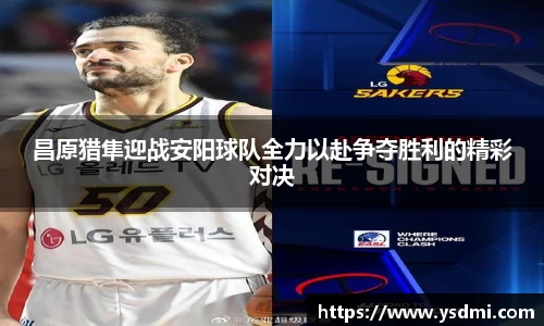 昌原猎隼迎战安阳球队全力以赴争夺胜利的精彩对决